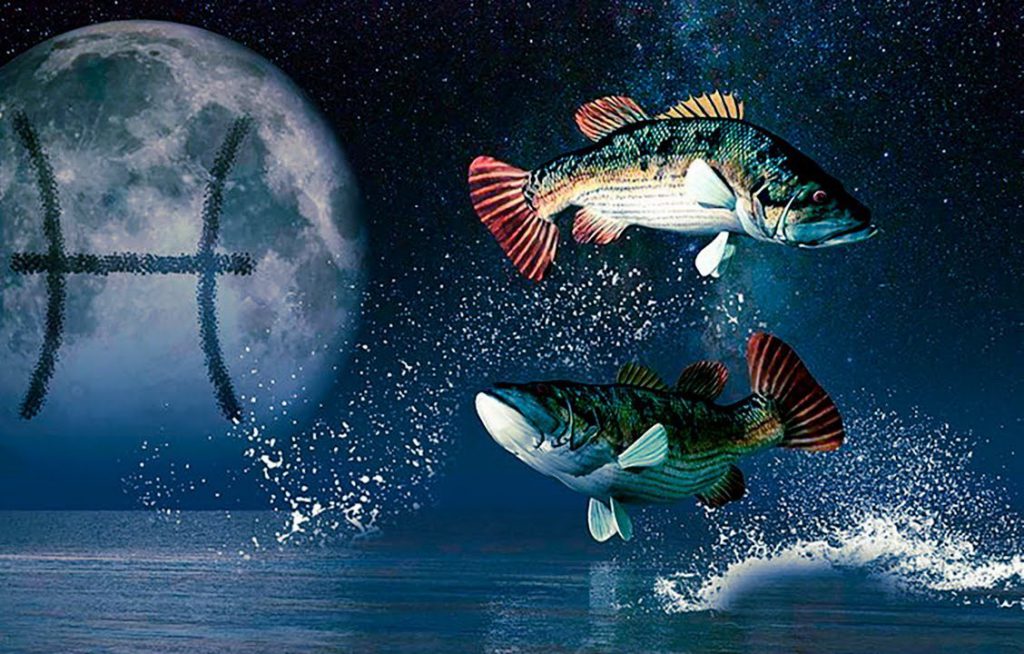 Гороскоп Рыбы Фото