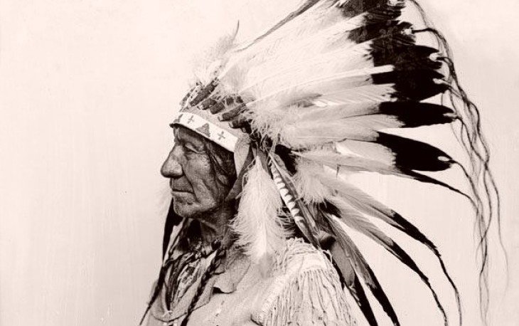 Картинки по запросу "Кто вы по знаку Зодиака американских индейцев"