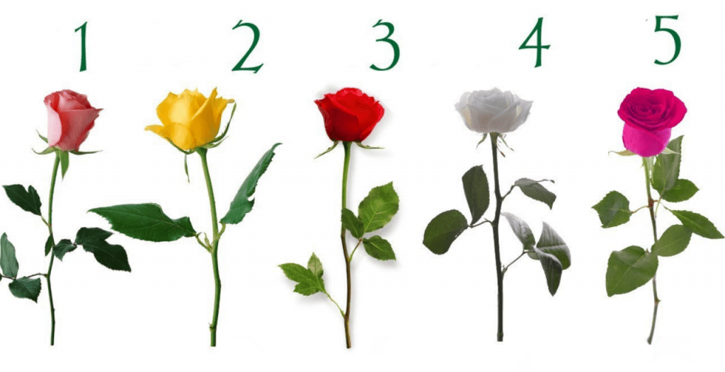 Картинки по запросу "Тест: выберите розу и узнайте, когда ваше желание сбудется"